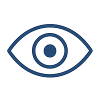 icon_vision icon_vision